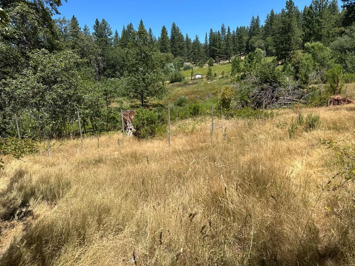 Property Photo: 3620 Graybar Mine Road CA 95633