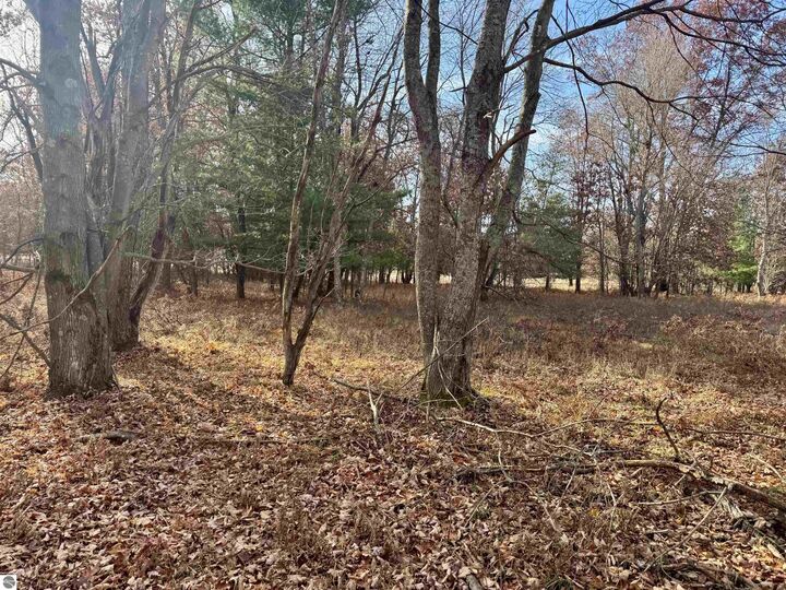 Property Photo:  Parcel E Rosted Road  MI 49651 