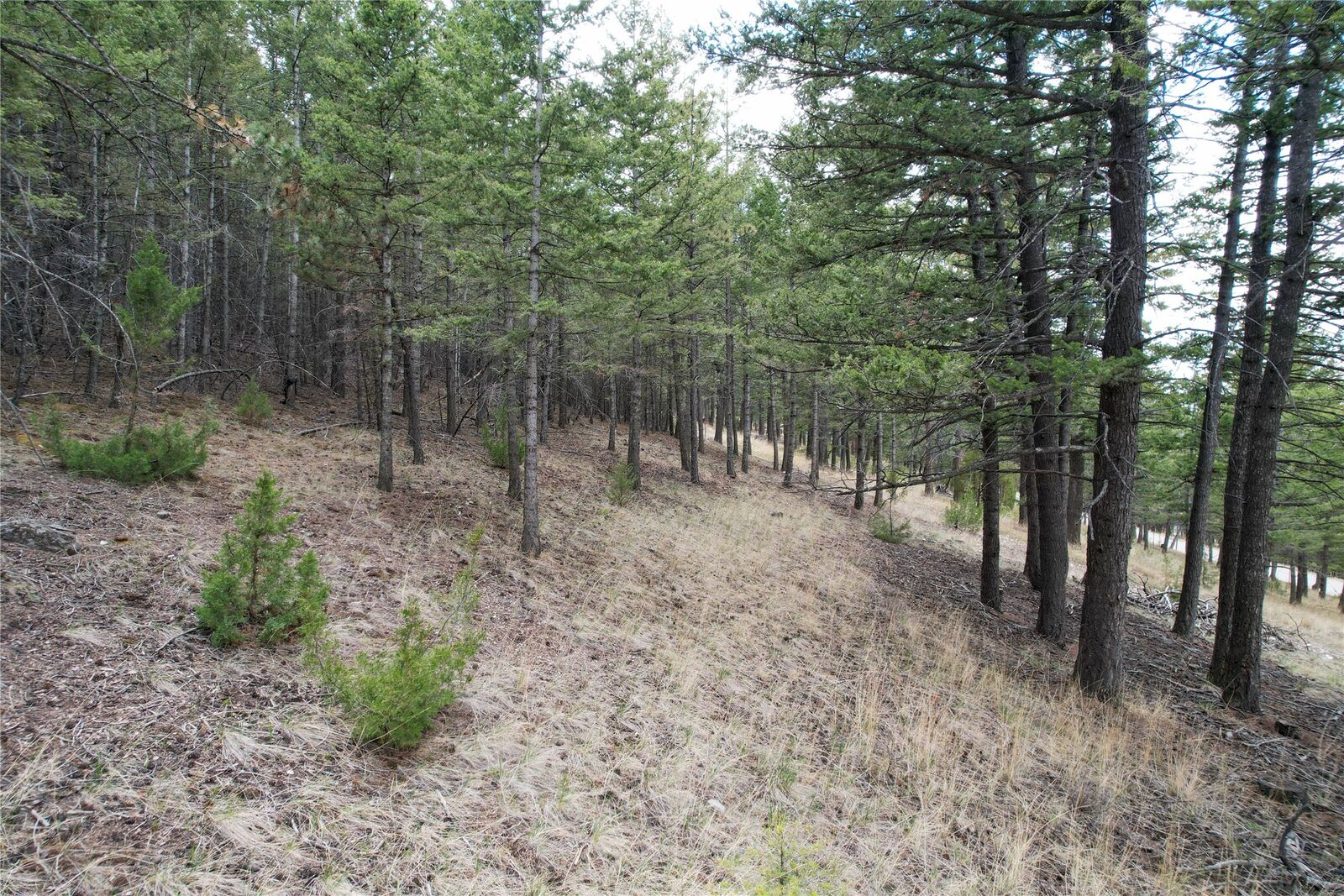 Property Photo:  291 S Hills Road  MT 59634 