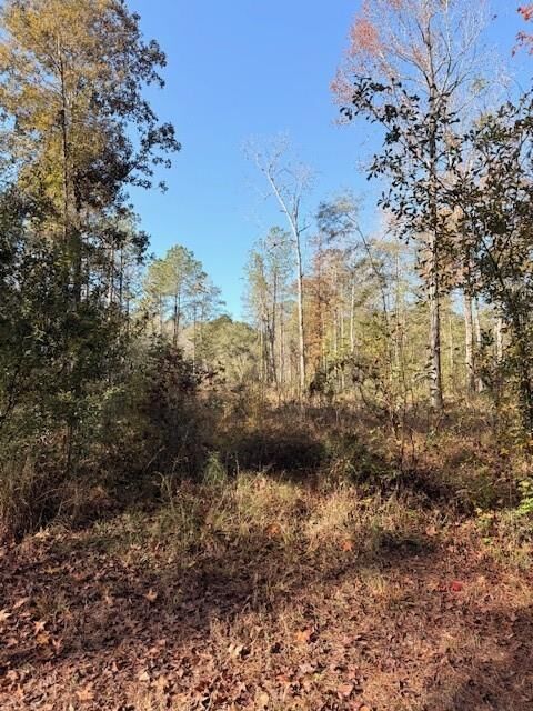 Property Photo: 42217 Pasqua Road LA 70454