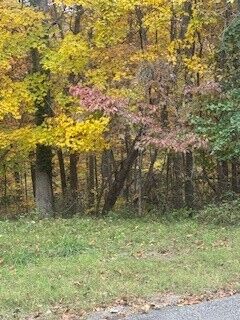 Property Photo:  Tbd Porlock Lane  AR 72715 