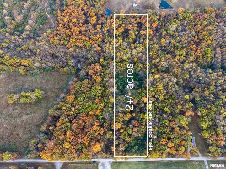 18492 Moonbeam Lane  Mt Vernon IL 62864 photo