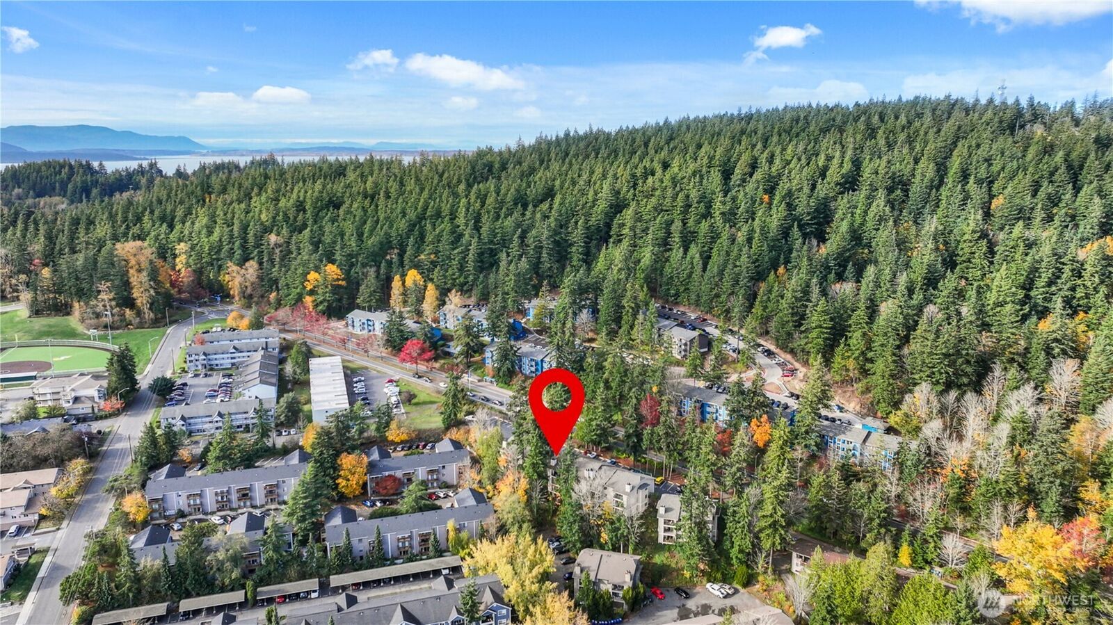 Property Photo: 3104 Bill McDonald Parkway D101 WA 98225