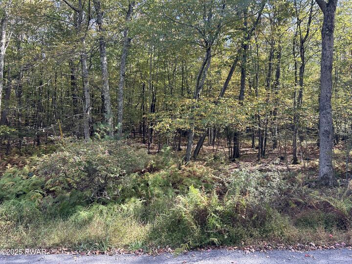 Property Photo: Lot 410 Fox Road PA 18328