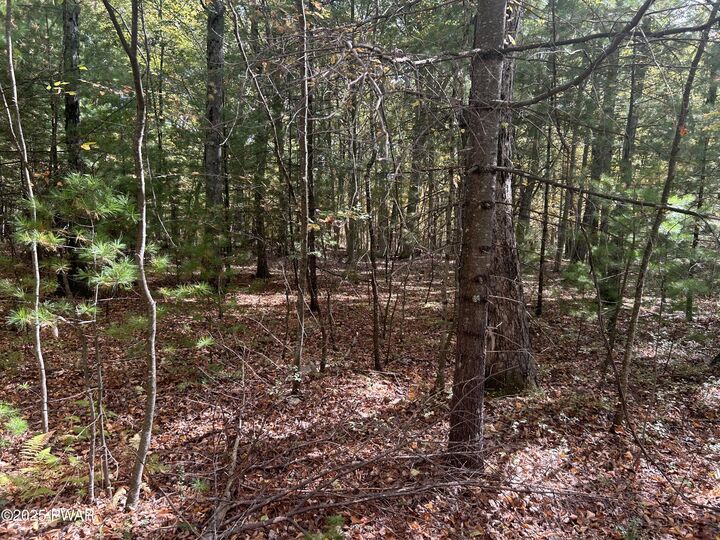 Property Photo: Lot 22 Heather Hill Road PA 18328
