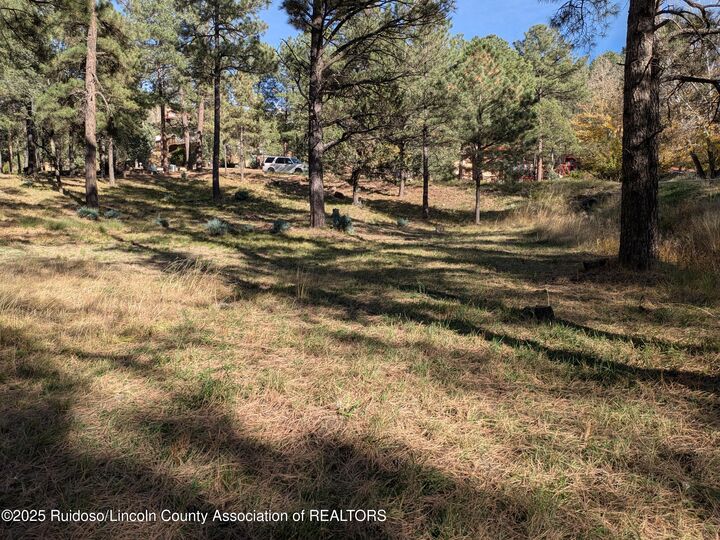 Property Photo: 416 Snowcap Drive NM 88345