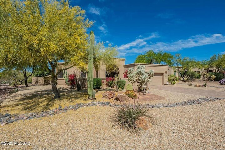 Property Photo: 11255 N Meadow Sage Drive AZ 85737