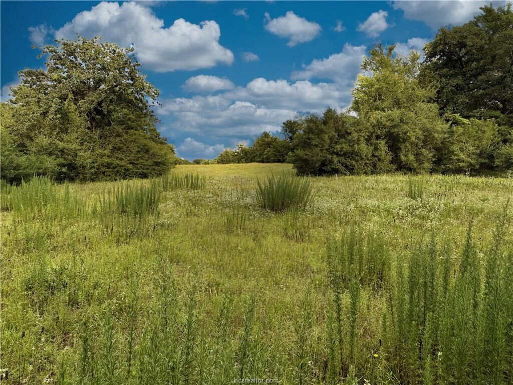 Property Photo: Tbd East Old Hickory Grove Road Co NE County Road NE TX 77856