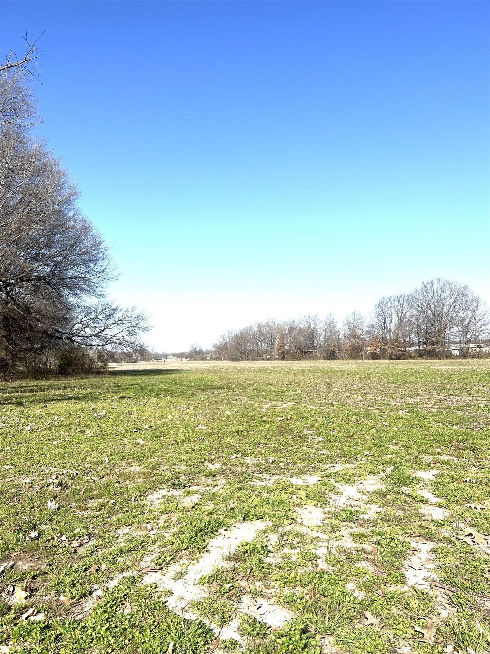 Property Photo:  11.46 Highway 351  AR 72405 