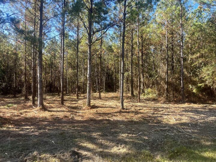 Property Photo: 0 Co Hwy 0605 FL 32433