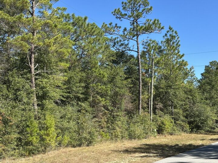 Property Photo: Tbd Bear Head Road FL 32539