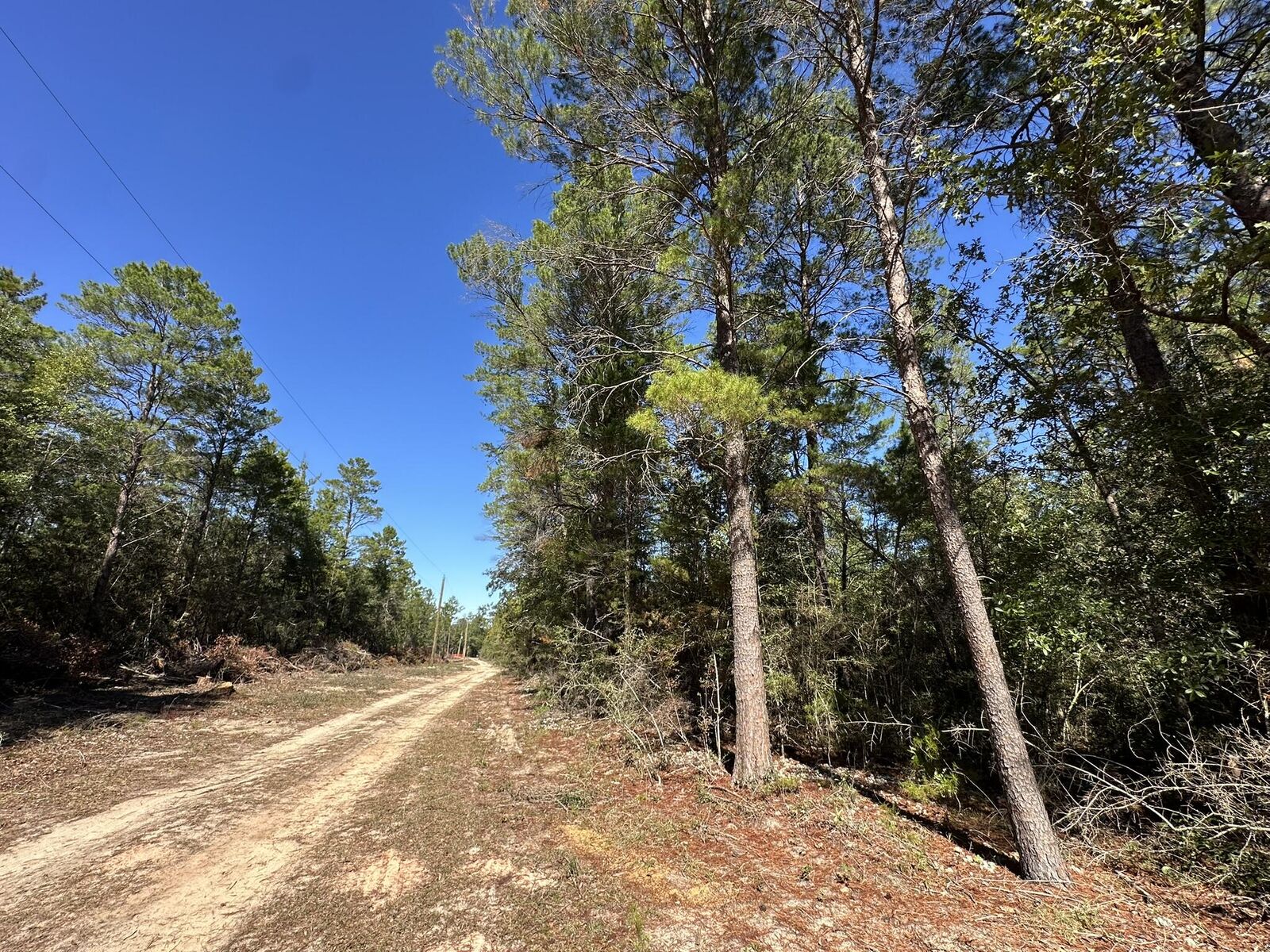 Property Photo: Parcel A Bear Head Road FL 32539