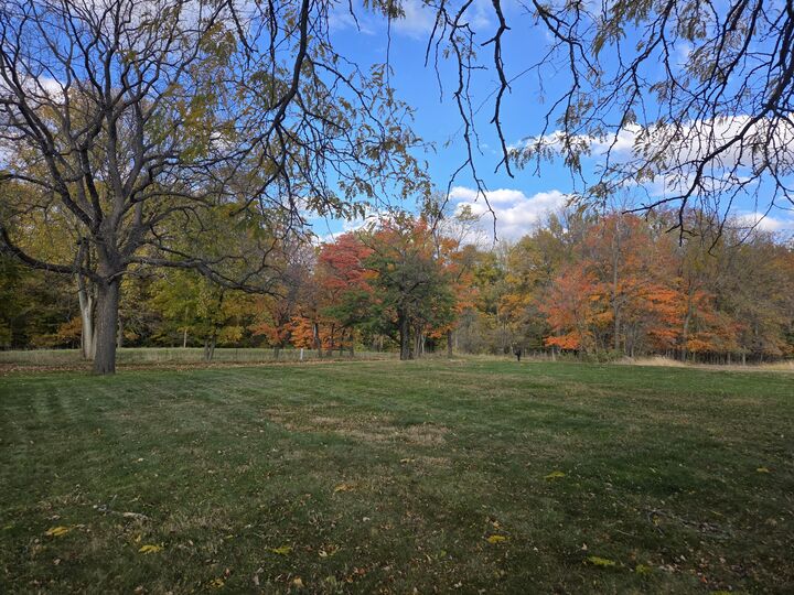 Property Photo:  33260 State Line Road  IN 46552 