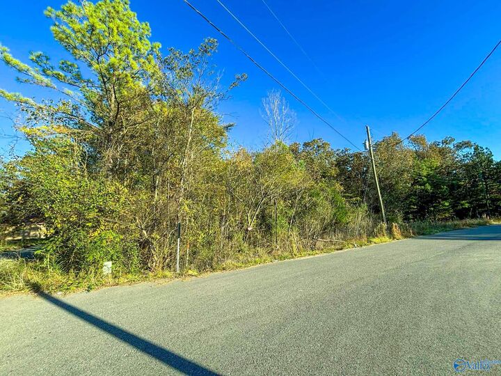 Property Photo:  11 SE Wilson Street  AL 35954 