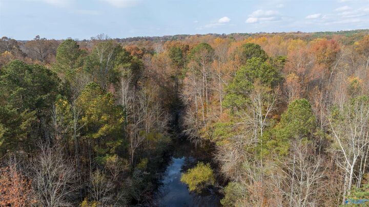 Property Photo:  6.7+/-Acres County Road 85  AL 35968 