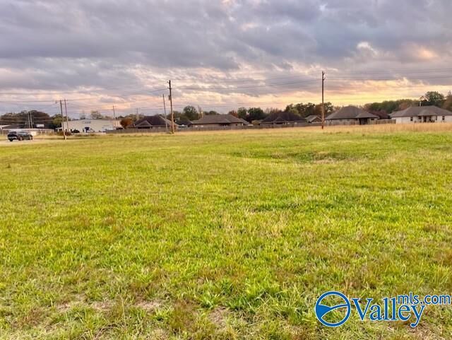 Property Photo: 0.56 2nd Street AL 35661