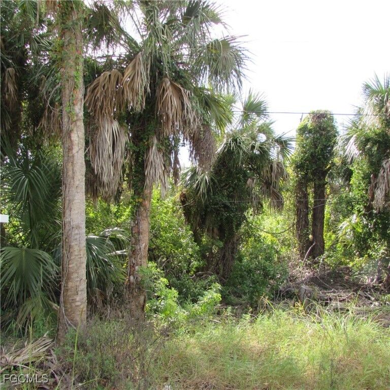 Property Photo:  3401 Castile Road  FL 33956 