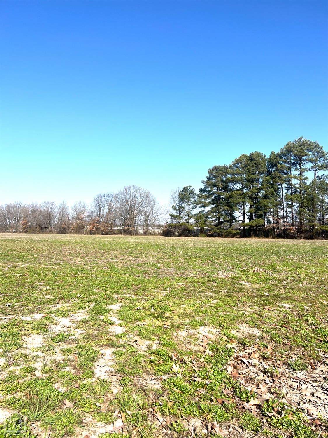Property Photo:  11 Highway 351  AR 72405 