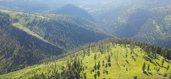 Property Photo: 5 Tract, Garnet Range MT 59825