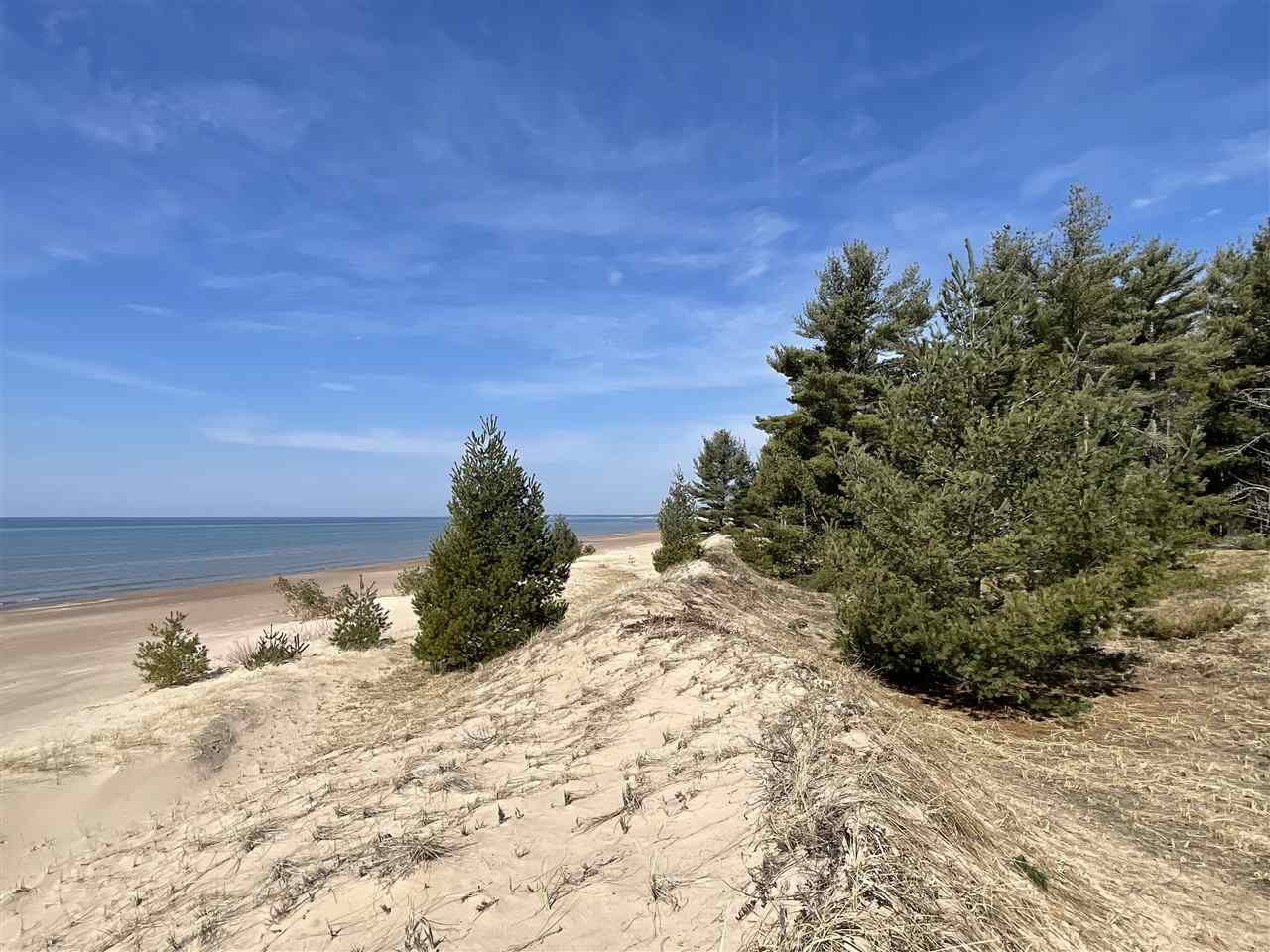 Property Photo: W Top O' The Lake MI 49840
