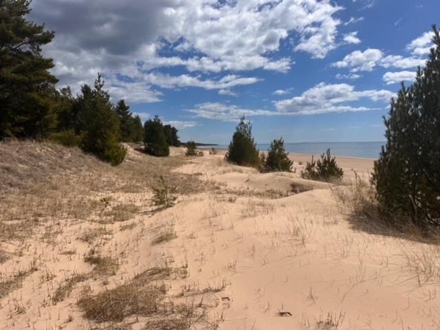 Property Photo: W Top O' The Lake MI 49840