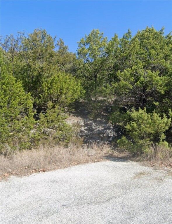 9 Sioux Lane  Holiday Island AR 72631 photo