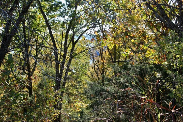 Property Photo: 001 Tbd Mundell Road AR 72631