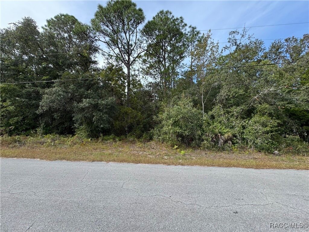 Property Photo:  2830 S Bolton Avenue  FL 34448 