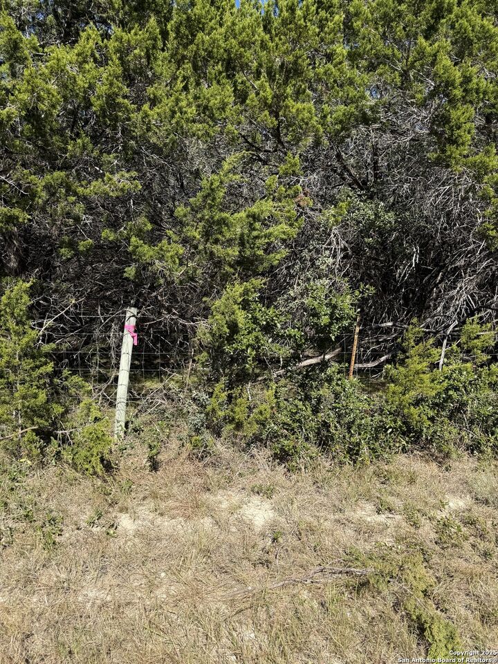 Property Photo:  (Lt) 396 Forest Trail Drive  TX 78003 