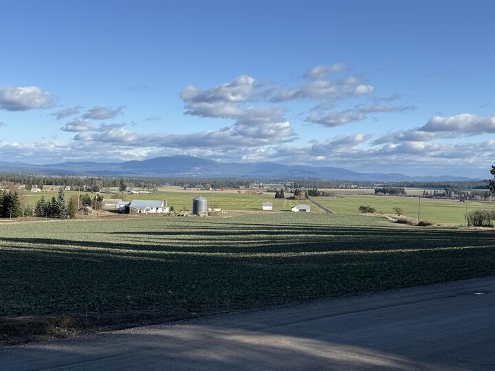 Property Photo: 5418 S Wallbridge Rd 5418 B S Wallbridge Rd WA 99006