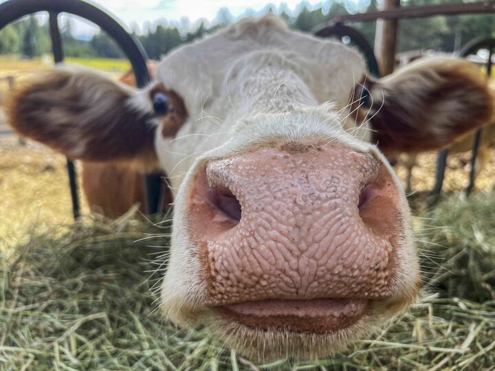 Property Photo: 11897 W Hidden Valley Rd ID 83858