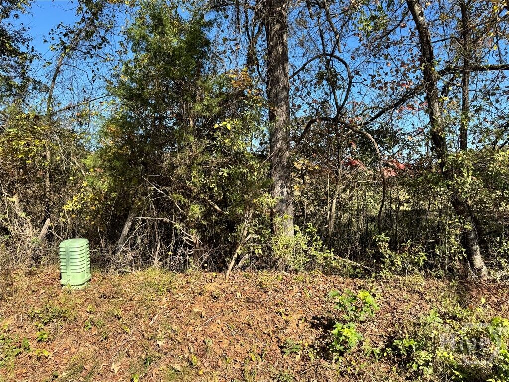 Property Photo: 0 Taylor Road Tract 2 GA 30648