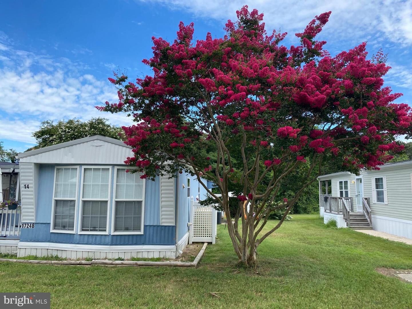 Property Photo:  17248 Pine Water Drive  DE 19958 