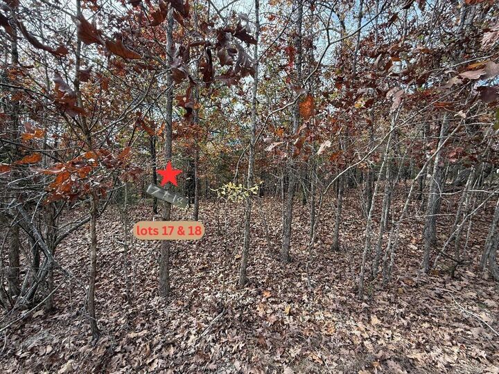 Property Photo: 002-11055-016 Buckhead Lane AR 72653