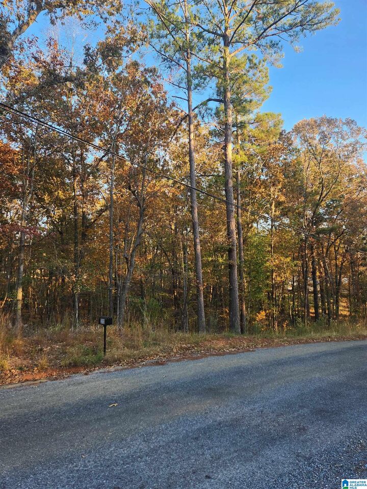 Property Photo:  911 Oak Road D/17  AL 35151 