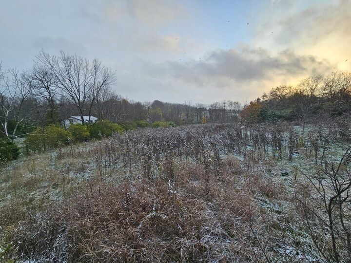 Property Photo:  000 Duncan Hill Road  KY 40422 