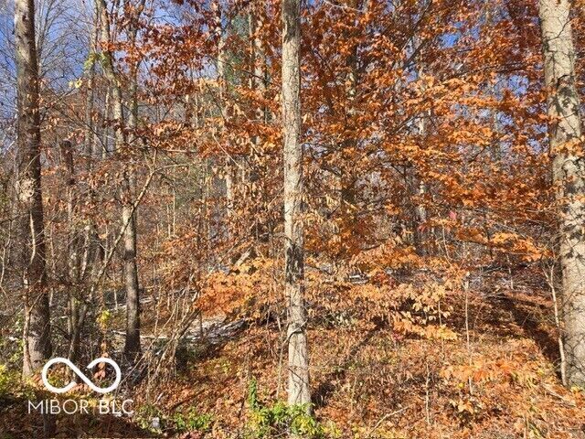 Property Photo: 0 N Shore Drive IN 47468