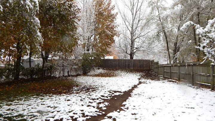 Property Photo:  155 Derby Road  MI 49017 