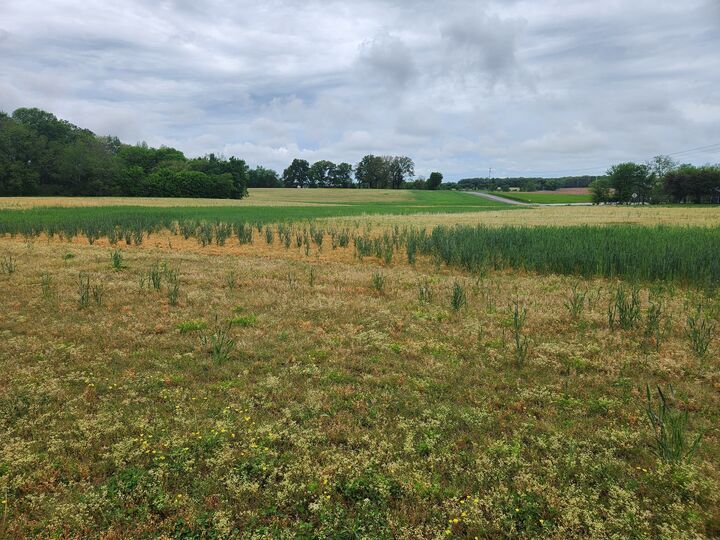 0 Fredonia Rd  Manchester TN 37355 photo