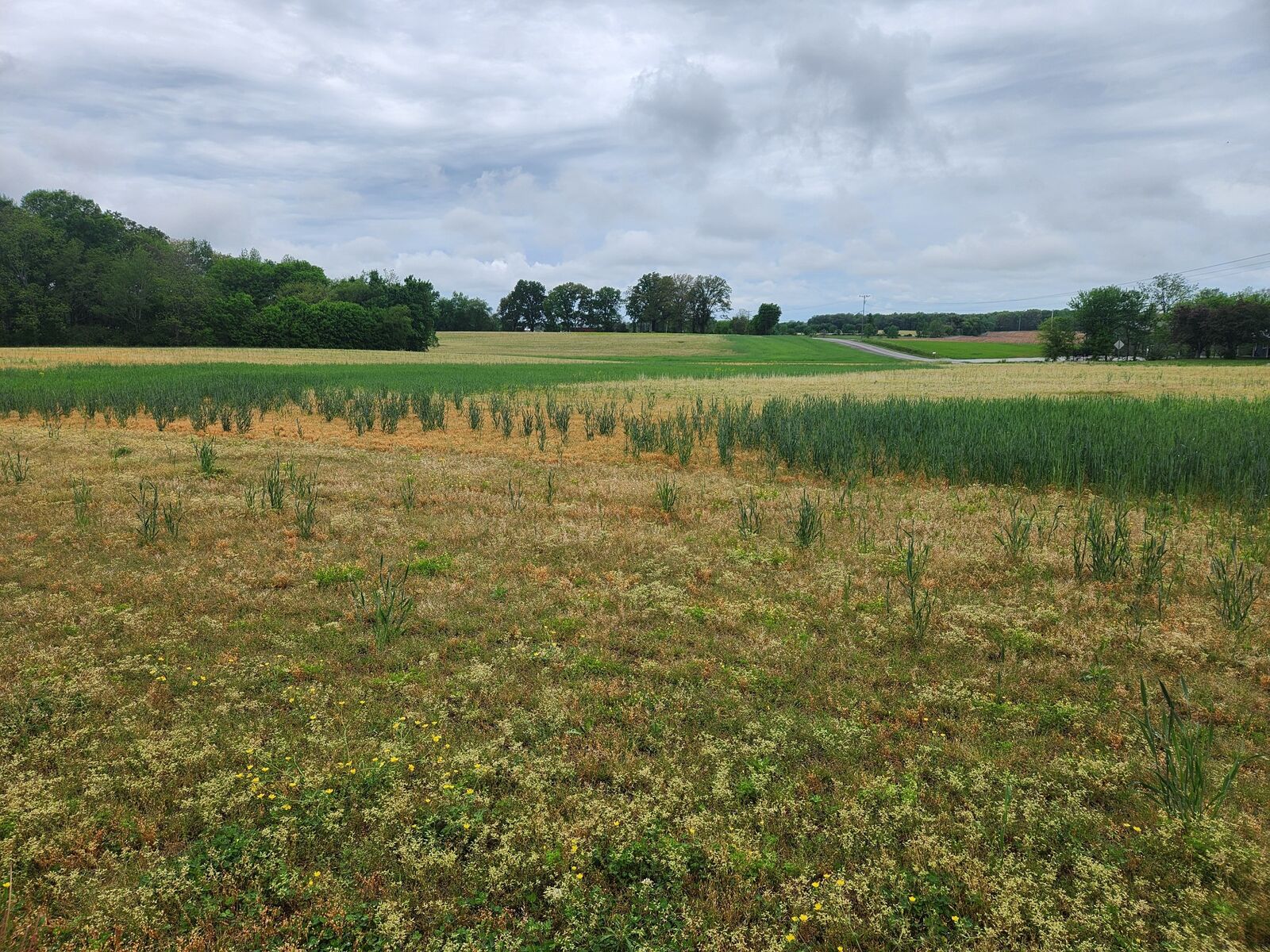 Property Photo:  0 Fredonia Rd  TN 37355 