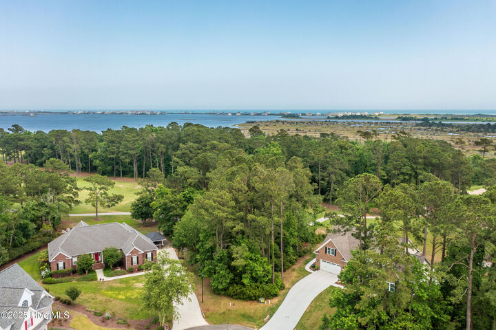 Property Photo: 111 Sea Turtle Cove NC 28460