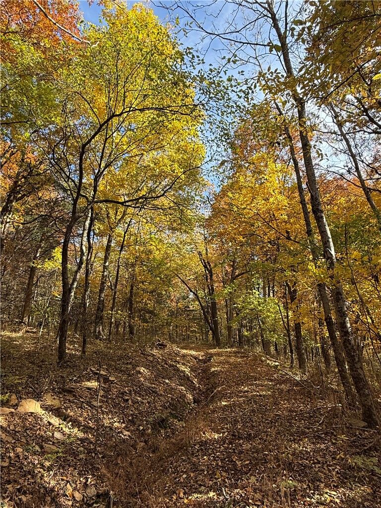 Property Photo:  14710 Summer Shade Road  AR 72774 