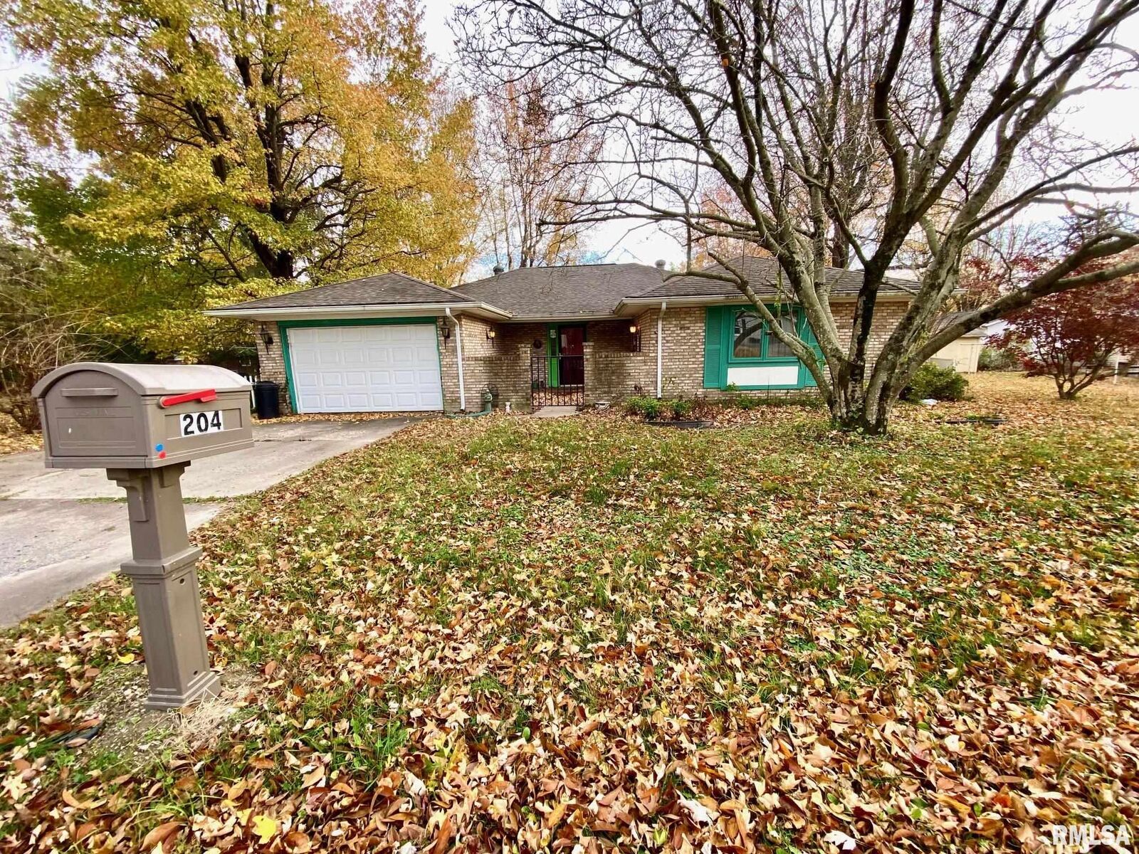 Property Photo:  204 E Hamilton Street  IL 62933 