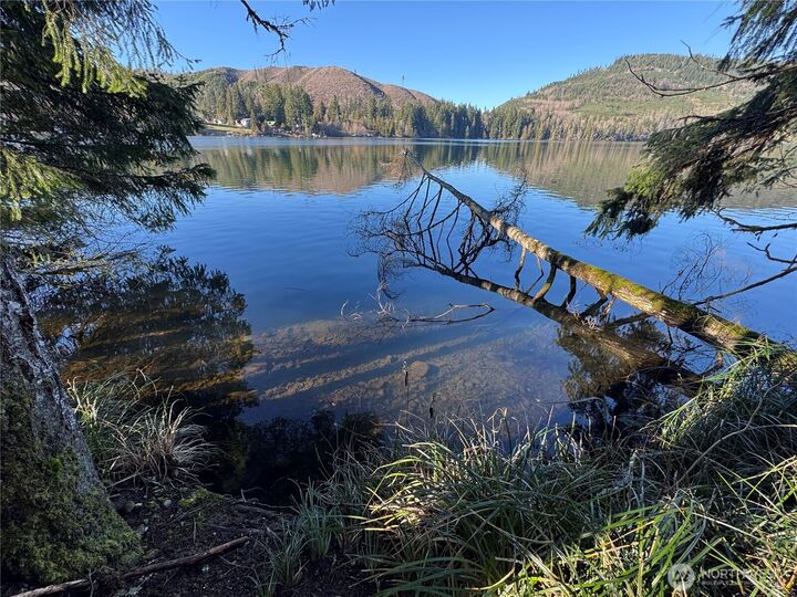 Property Photo: 0 Mineral Creek Road N WA 98355