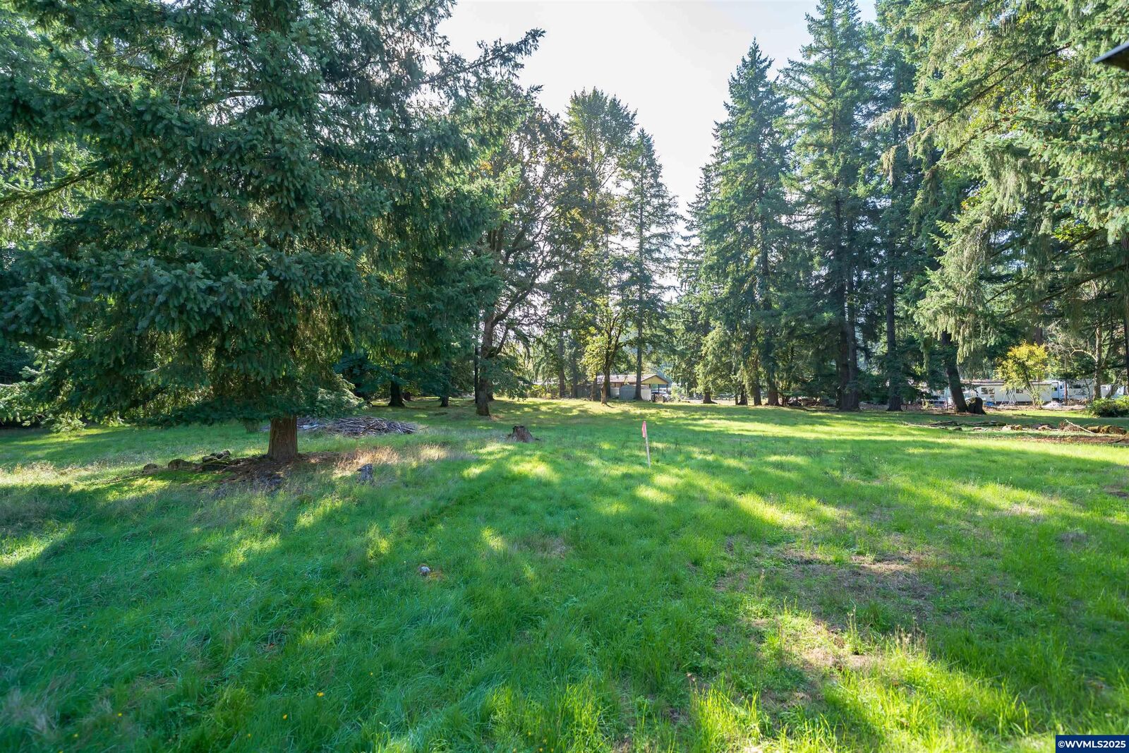 Property Photo:  E Dogwood Dr (Next To) St  OR 97358 