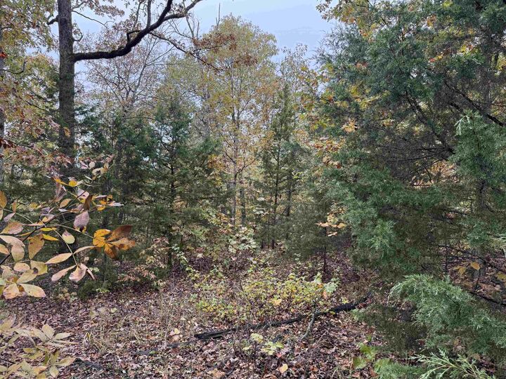 Property Photo: Tbd Russell Road AR 72542