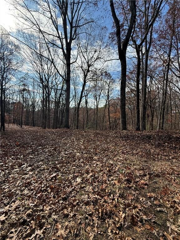 Property Photo:  0 Orchard Road  GA 30143 