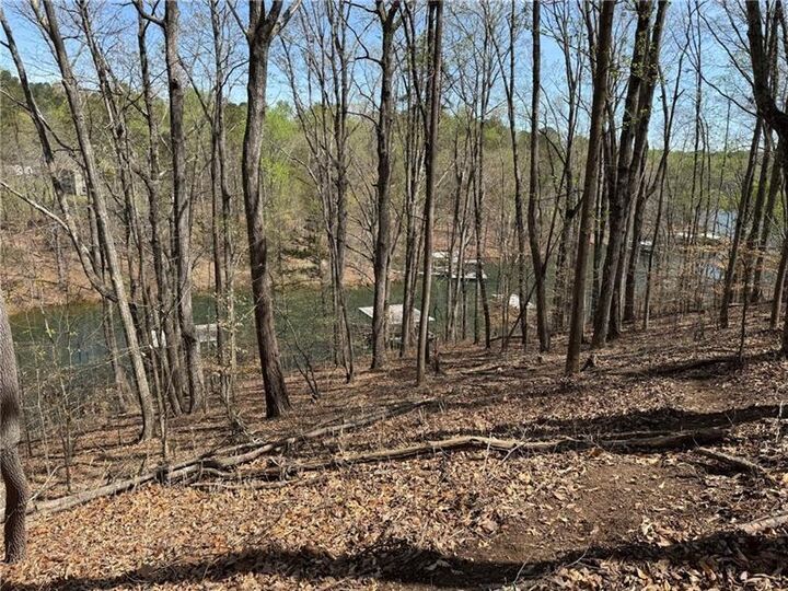 Property Photo:  0 Bethel Rd (296 128 &Amp 296 132) Road  GA 30506 