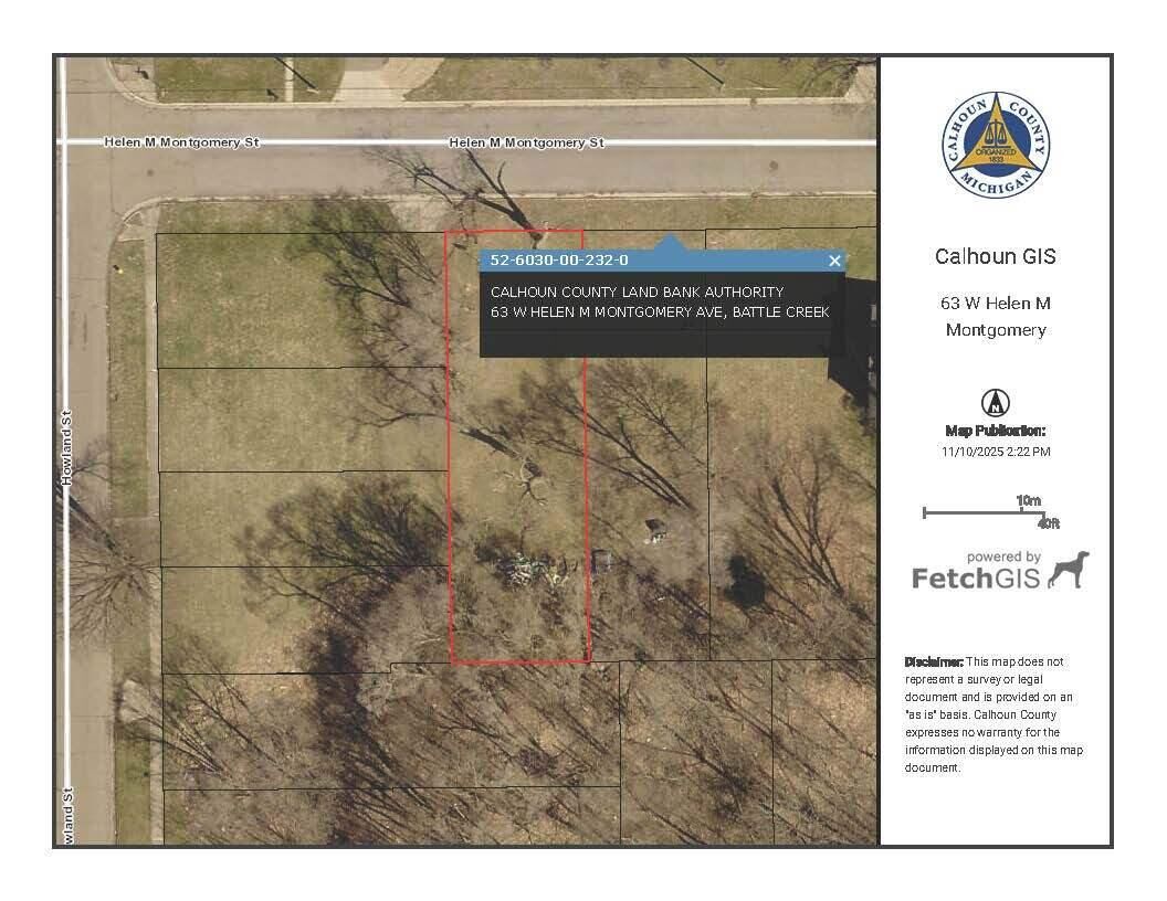 Property Photo:  63 Helen M Montgomery Avenue  MI 49037 