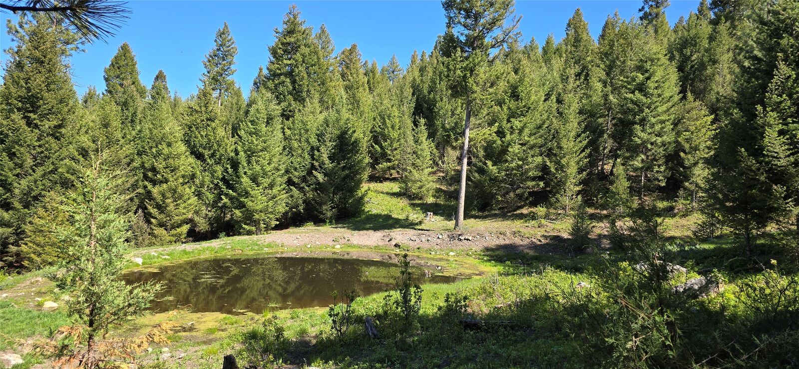 Property Photo: 4 Tract, Bull Elk MT 59832